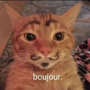 Meet your Posher, Kaydence